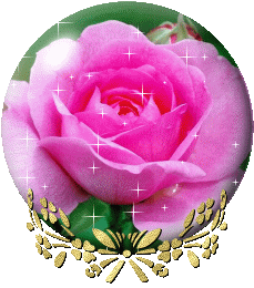globe rose